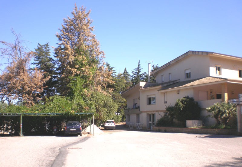 Villa Sergio.jpg