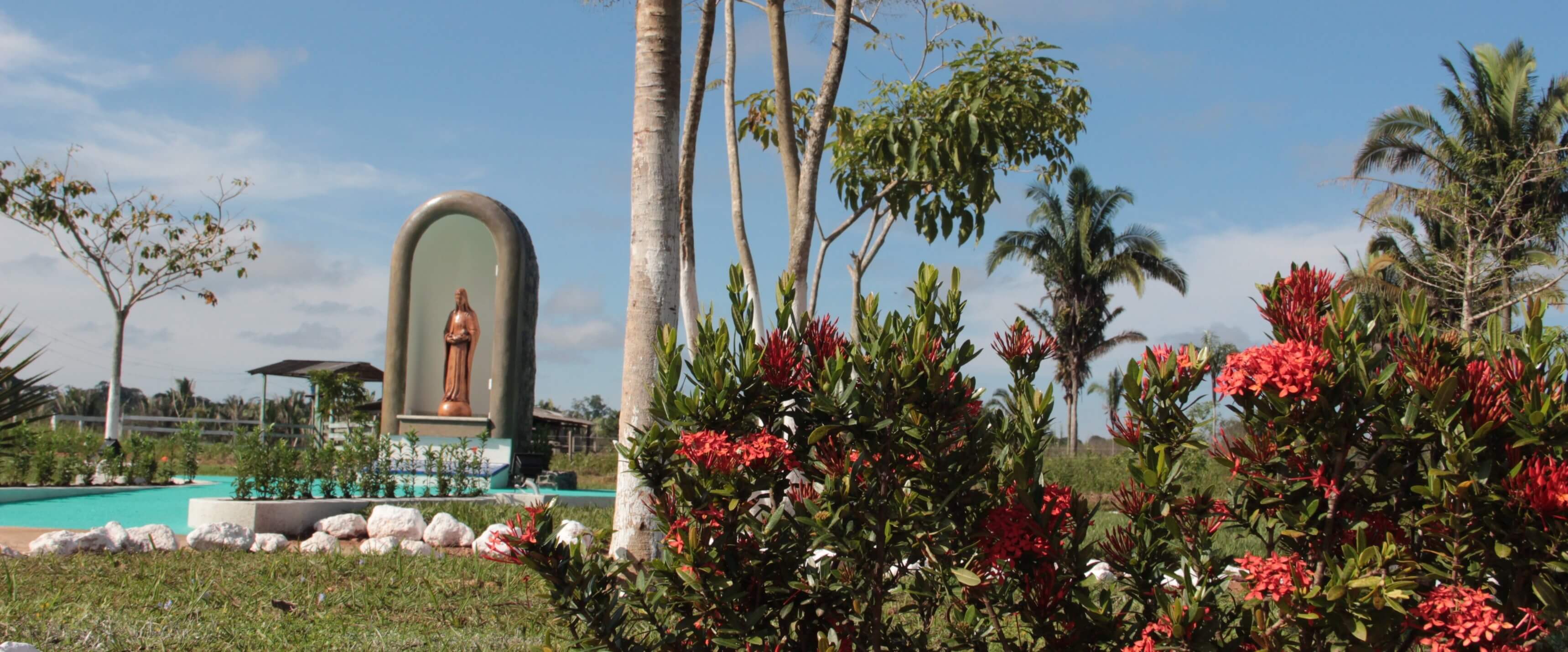 L'Associazione in Brasile